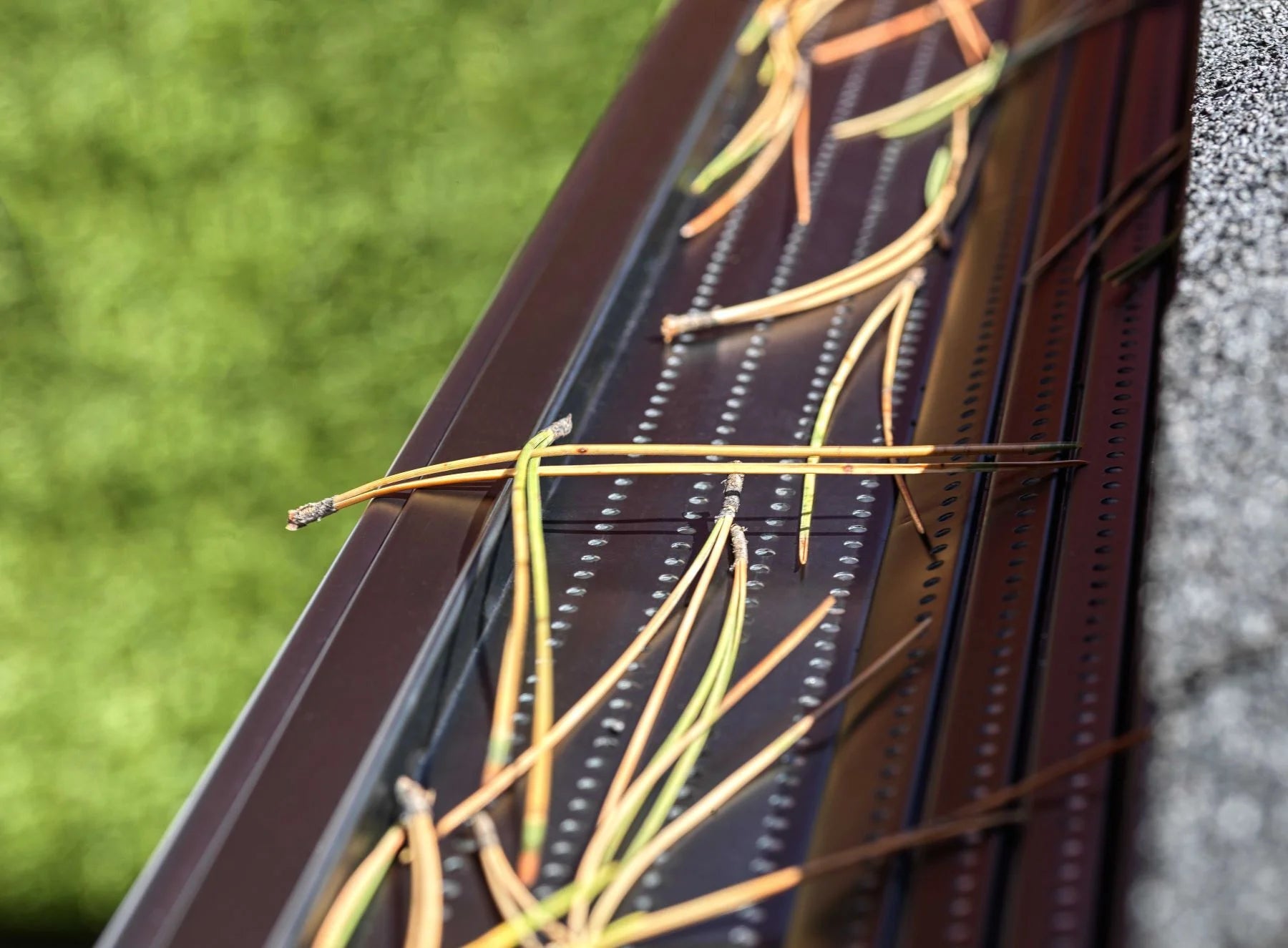 Rain Gutter Protection - Alu-Rex Gutter Clean Pro