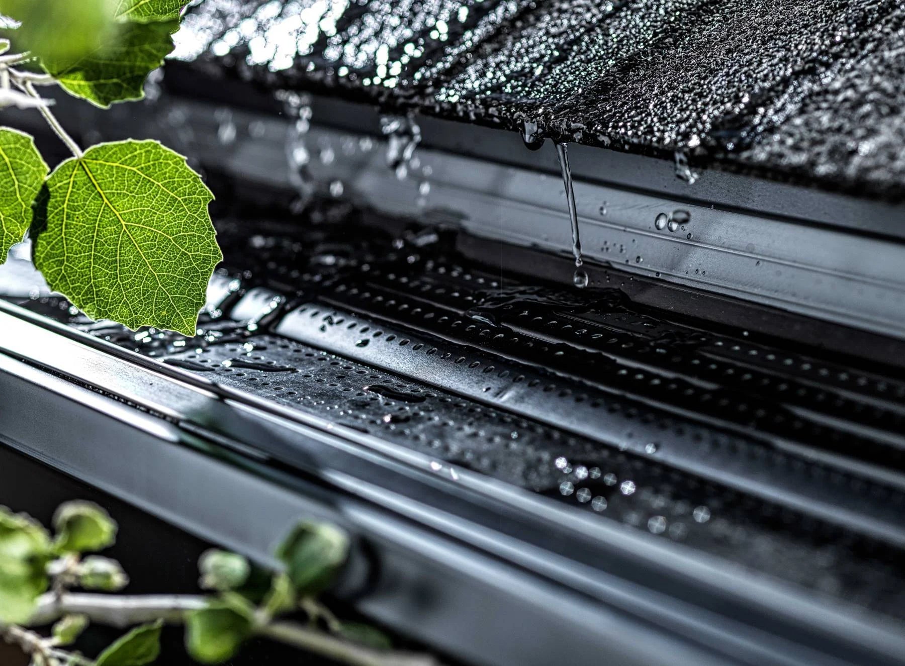 Rain Gutter Protection - Alu-Rex Gutter Clean Pro